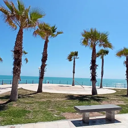Aparthotel - - - - - Front Line - - - - - Primera Linea - - - - - In Playa Flamenca