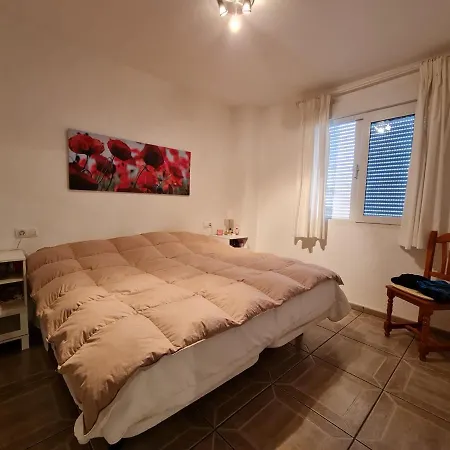 - - - - - Front Line - - - - - Primera Linea - - - - - In Aparthotel Playa Flamenca